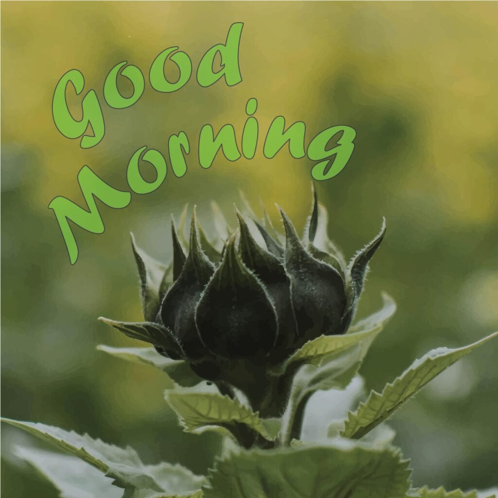 A green colored flower bud with Good Morning written on it