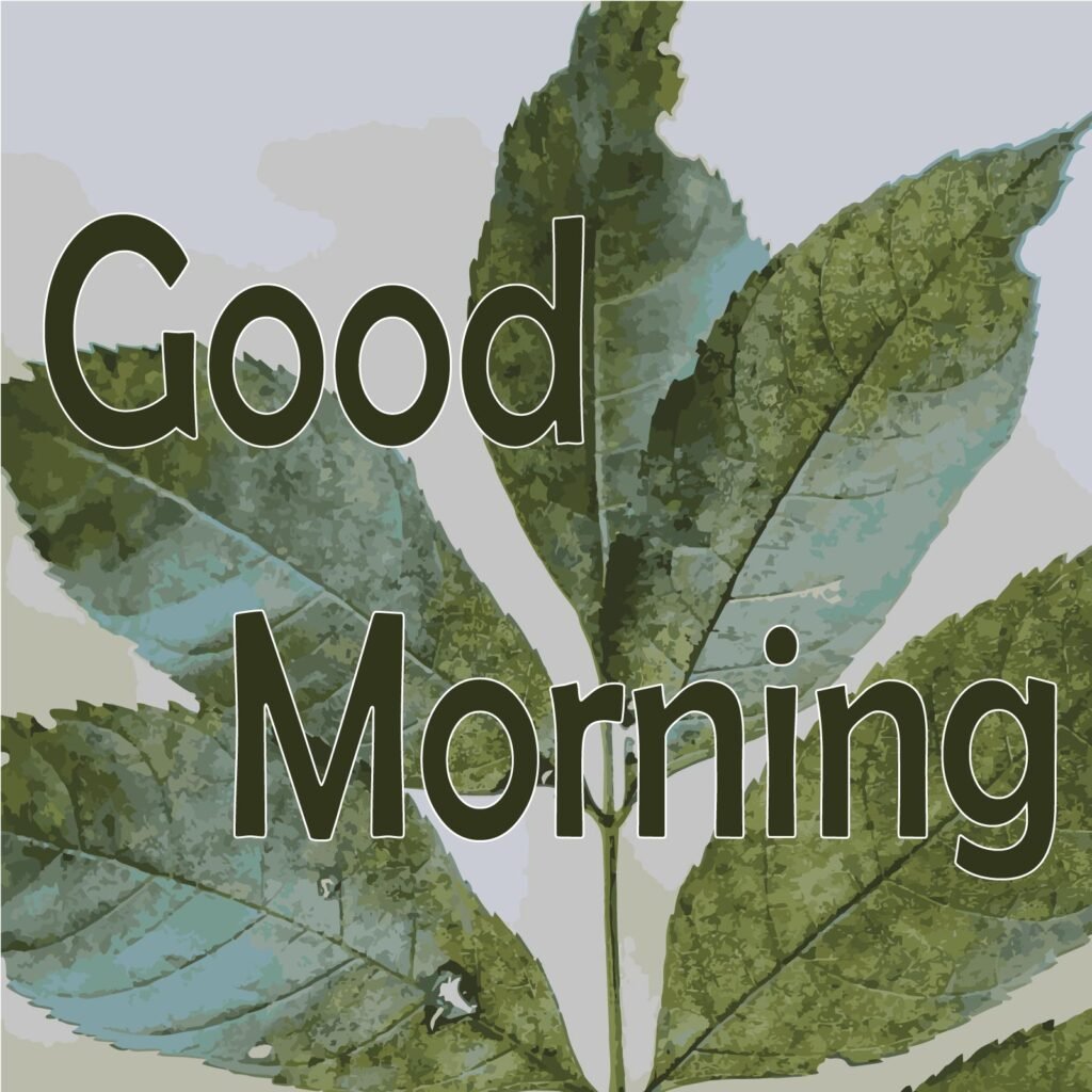 It has good morning text with green leaves as background