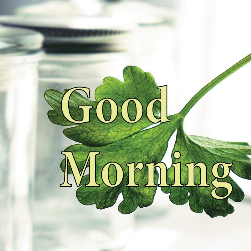 A coriander leaves in front of Glass glass jar